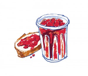 illustration catalogue conserverie La Vignécoise Hautes-Pyrénées