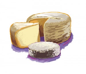 illustration catalogue conserverie La Vignécoise Hautes-Pyrénées
