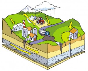Illustration coupe de terrain pollution des nappes phréatiques agence Exotypie Toulouse