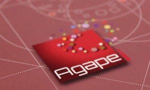 Plaquette Agapei Association de gestion d'établissements d'accueil handicap mental Midi- Pyrénées Toulouse