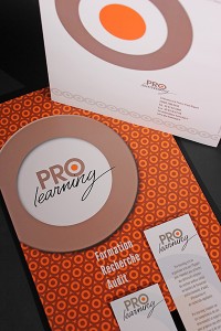 Pro Learning organisme de formation Agapei Toulouse