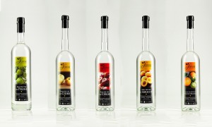 Etiquette eaux de vie Alain Servat artisan distillateur Ariège Pyrénées