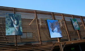 Parc animalier des Pyrénées Argelès Gazost Lourde