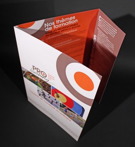 Plaquette Pro Learning organisme de formation Agapei Toulouse
